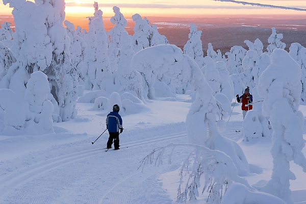 Koli Финляндия горнолыжный курорт